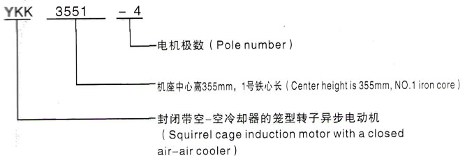 YKK系列(H355-1000)高压Y5602-8/900KW三相异步电机西安泰富西玛电机型号说明